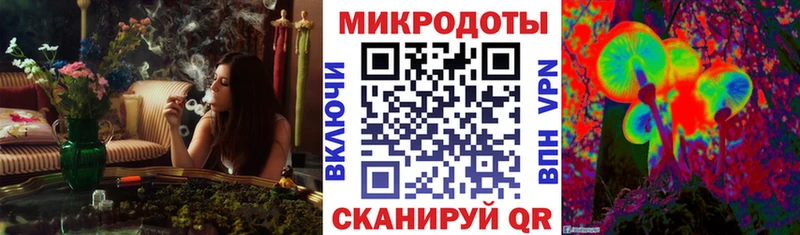 цена наркотик Губаха Псилоцибиновые грибы Psilocybe